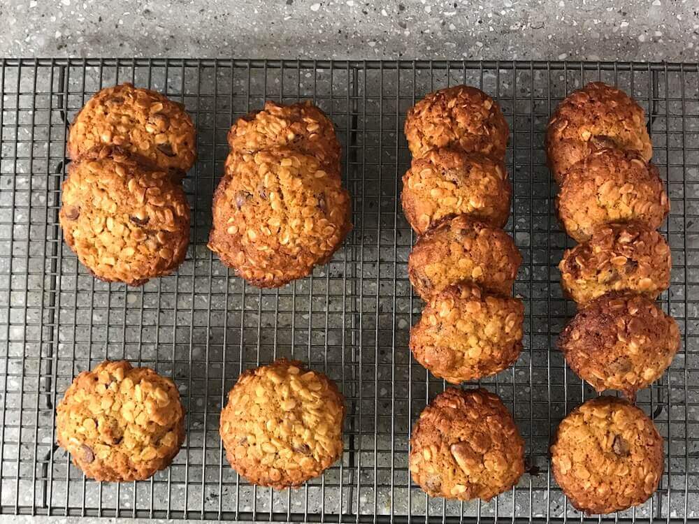 Chocolate Chip and Oat Biscuits