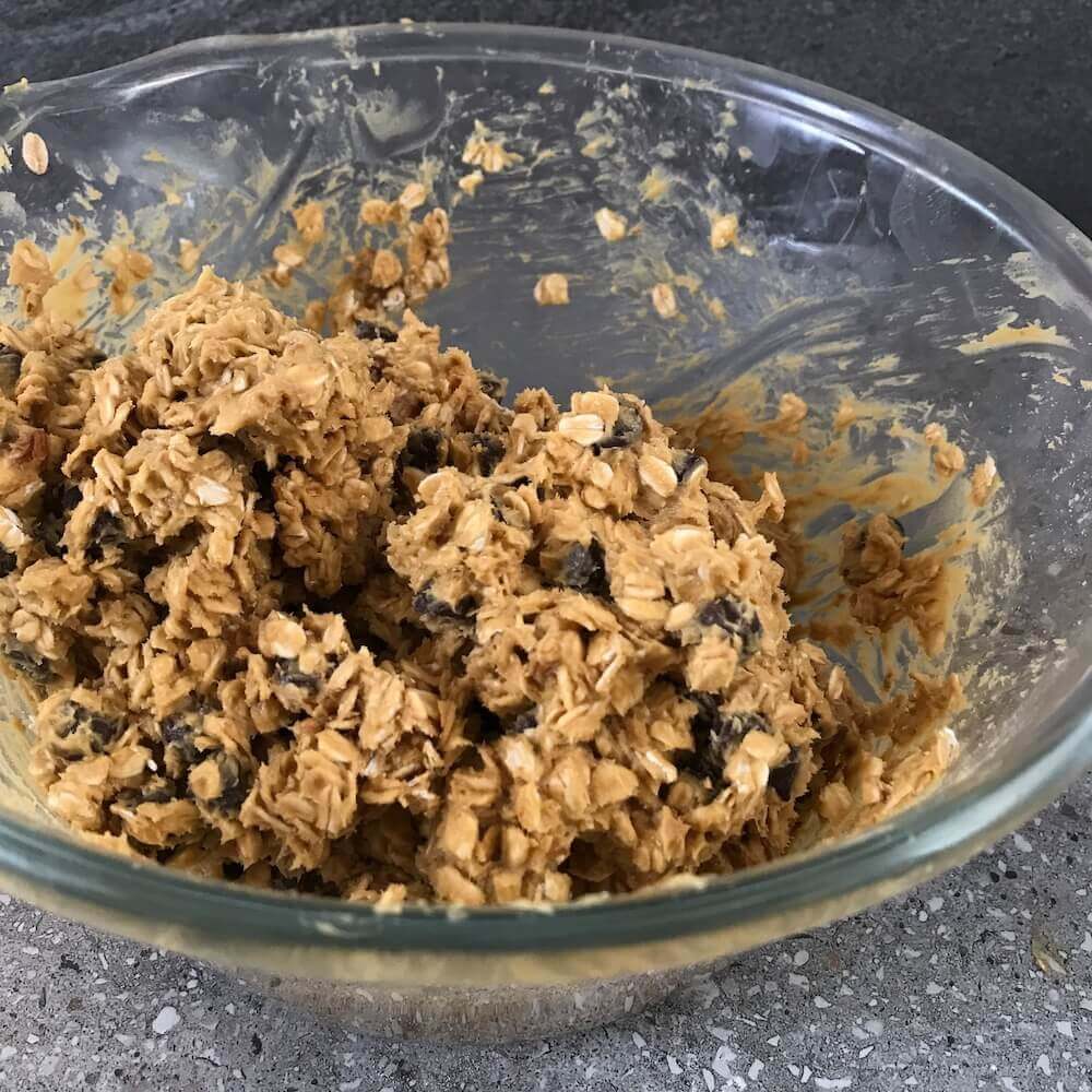 Chocolate Chip and Oat Biscuits