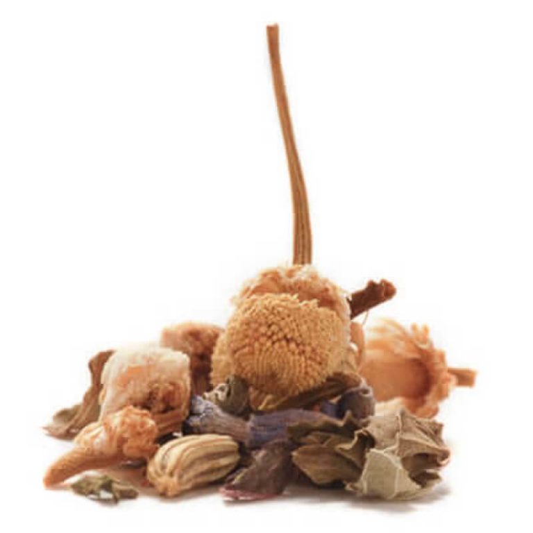 digestive soother tea