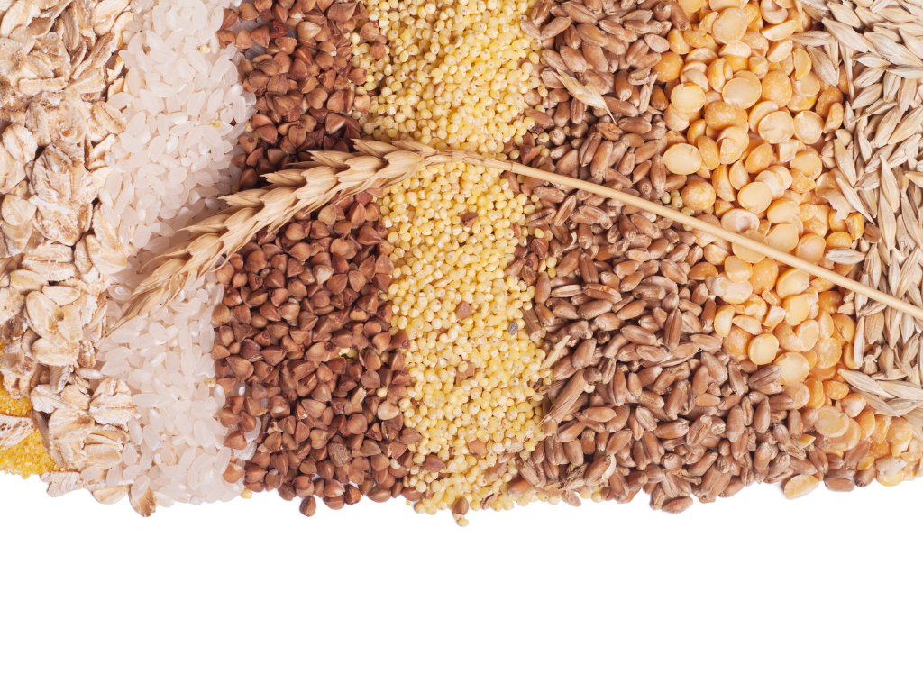 Should I Go Gluten-Free? A Real Food Guide to the Gluten-Free Diet